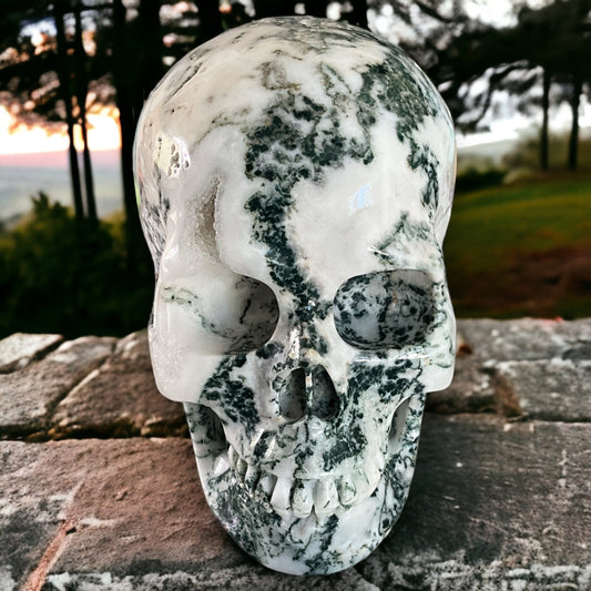 Tree Agate Skull Carving 5"