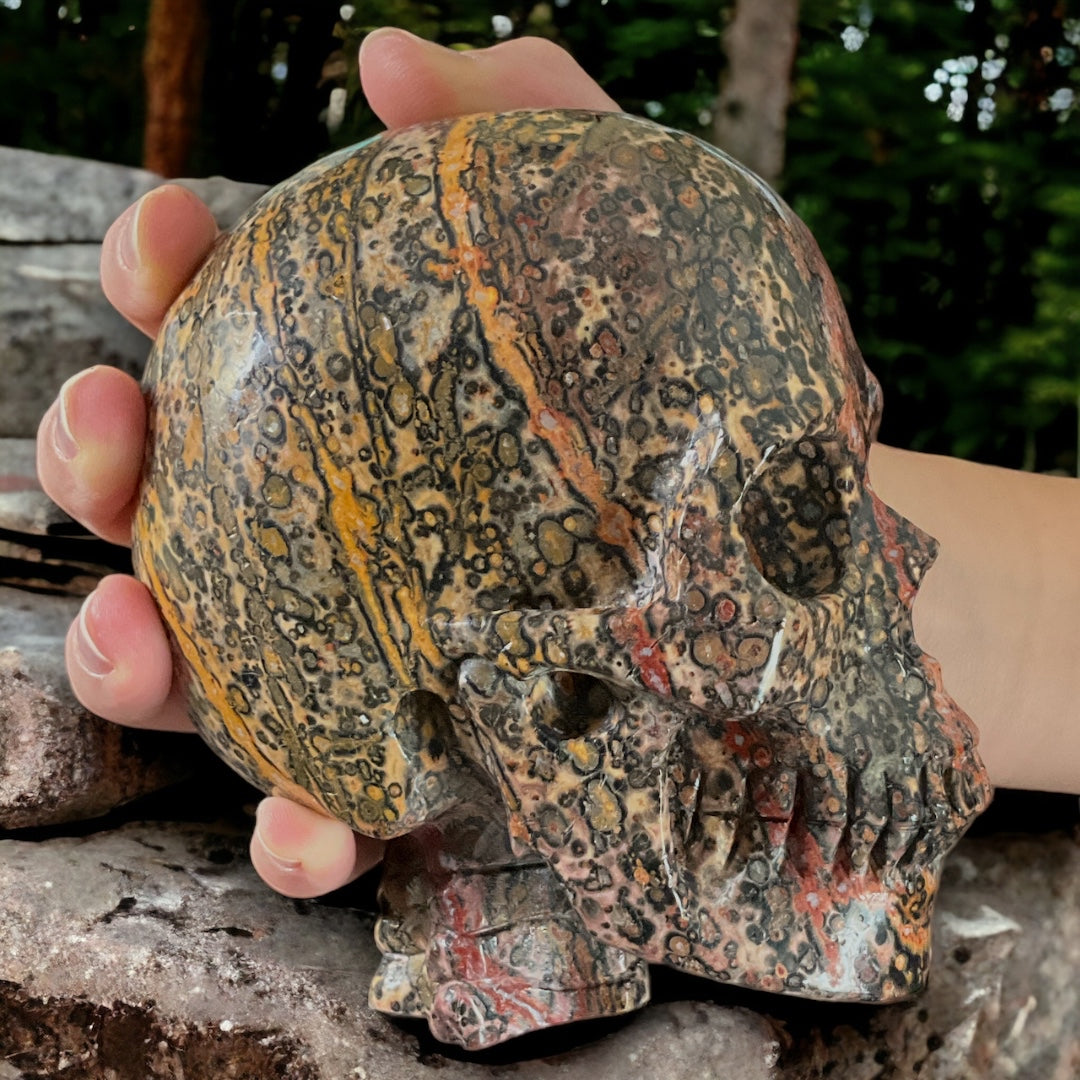 Leopard Jasper Skull Carving (Hypno-Skull) 5"