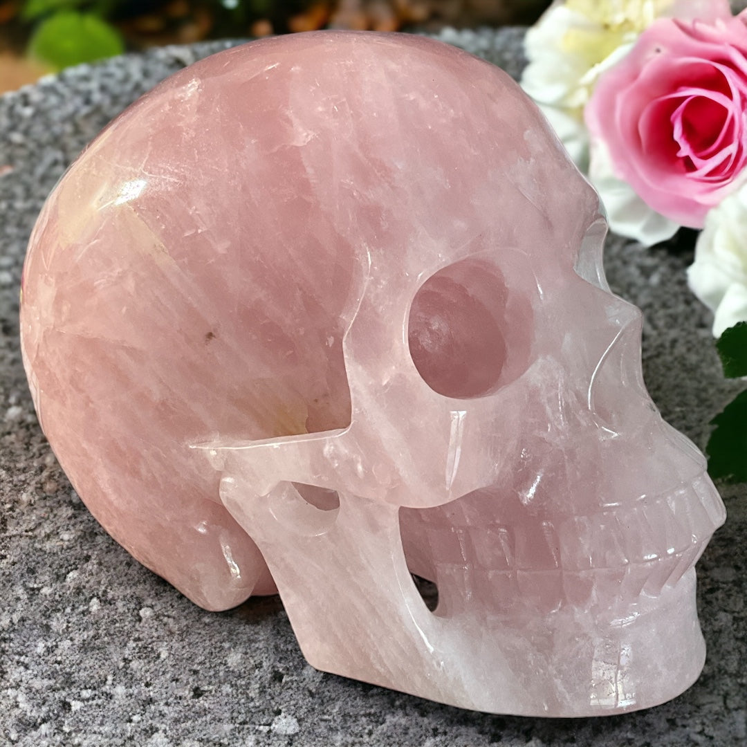Rose Quartz Skull Carving 6.9"
