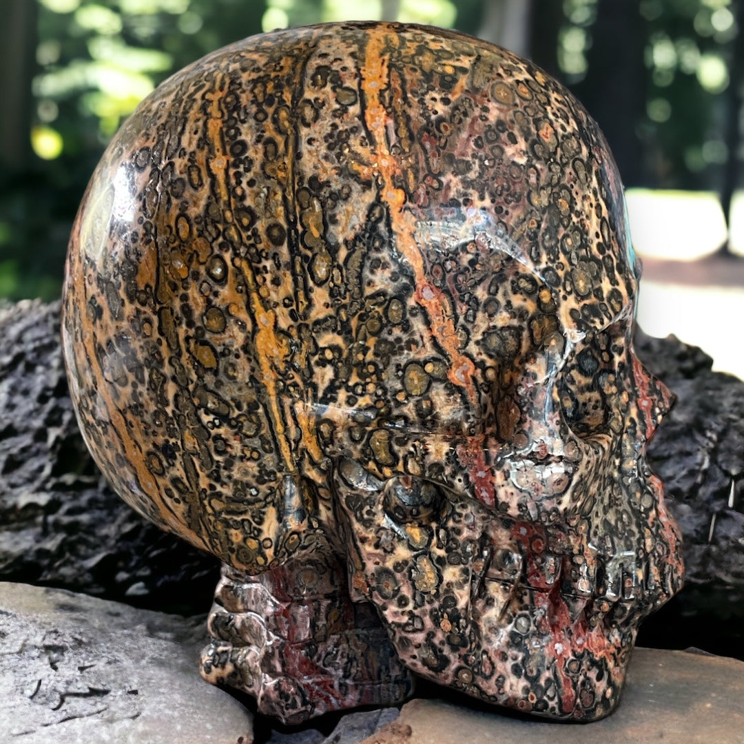 Leopard Jasper Skull Carving (Hypno-Skull) 5"