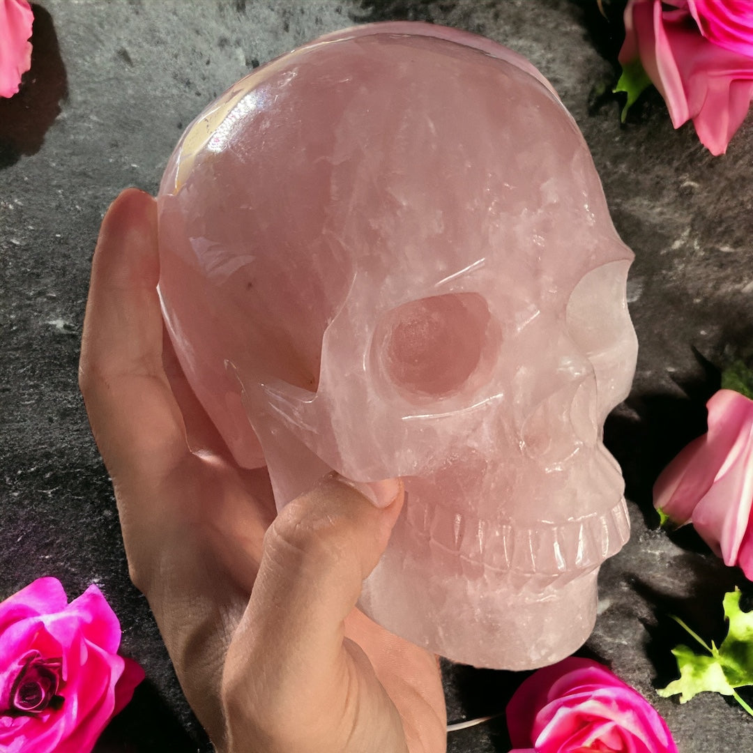 Rose Quartz Skull Carving 6.9"