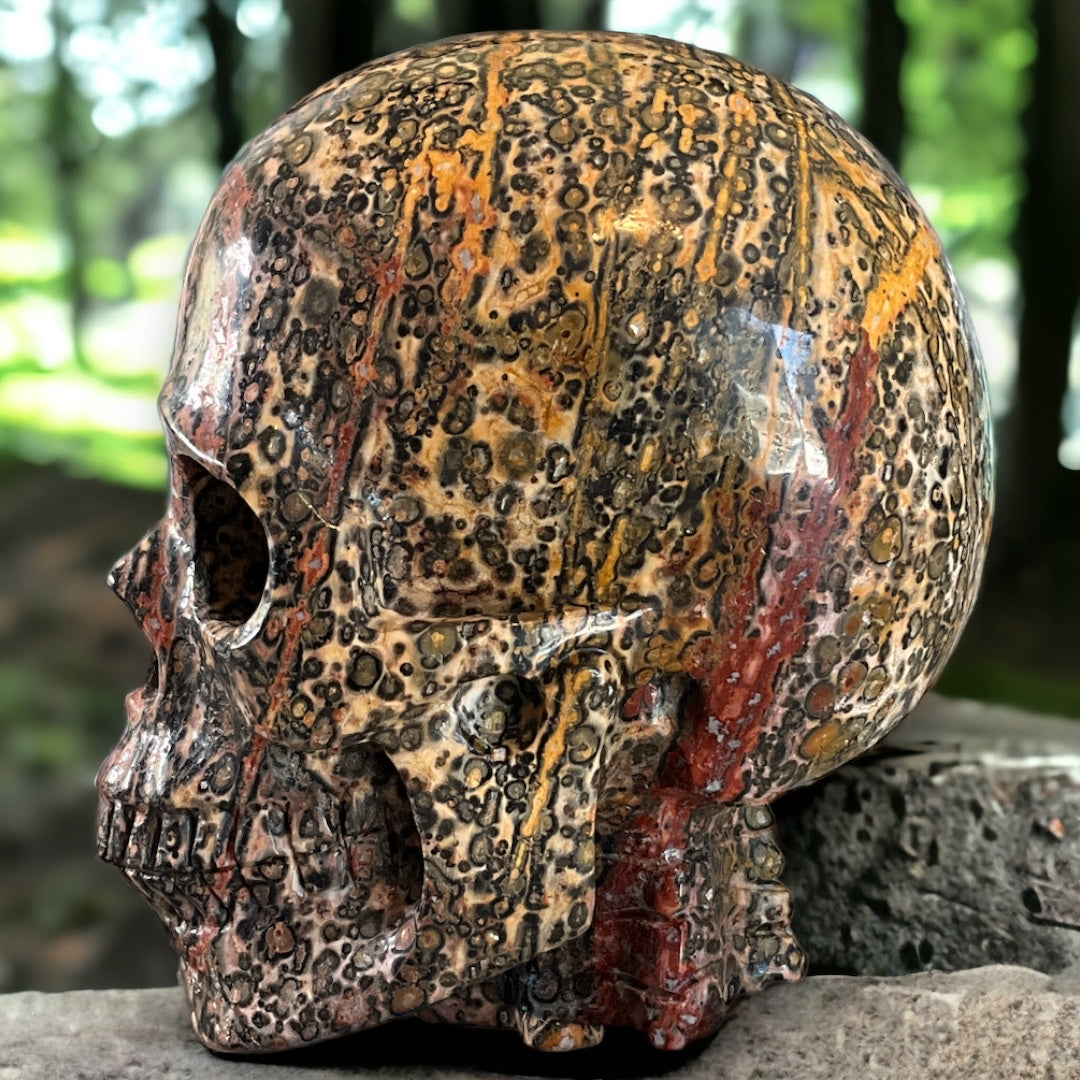 Leopard Jasper Skull Carving (Hypno-Skull) 5"