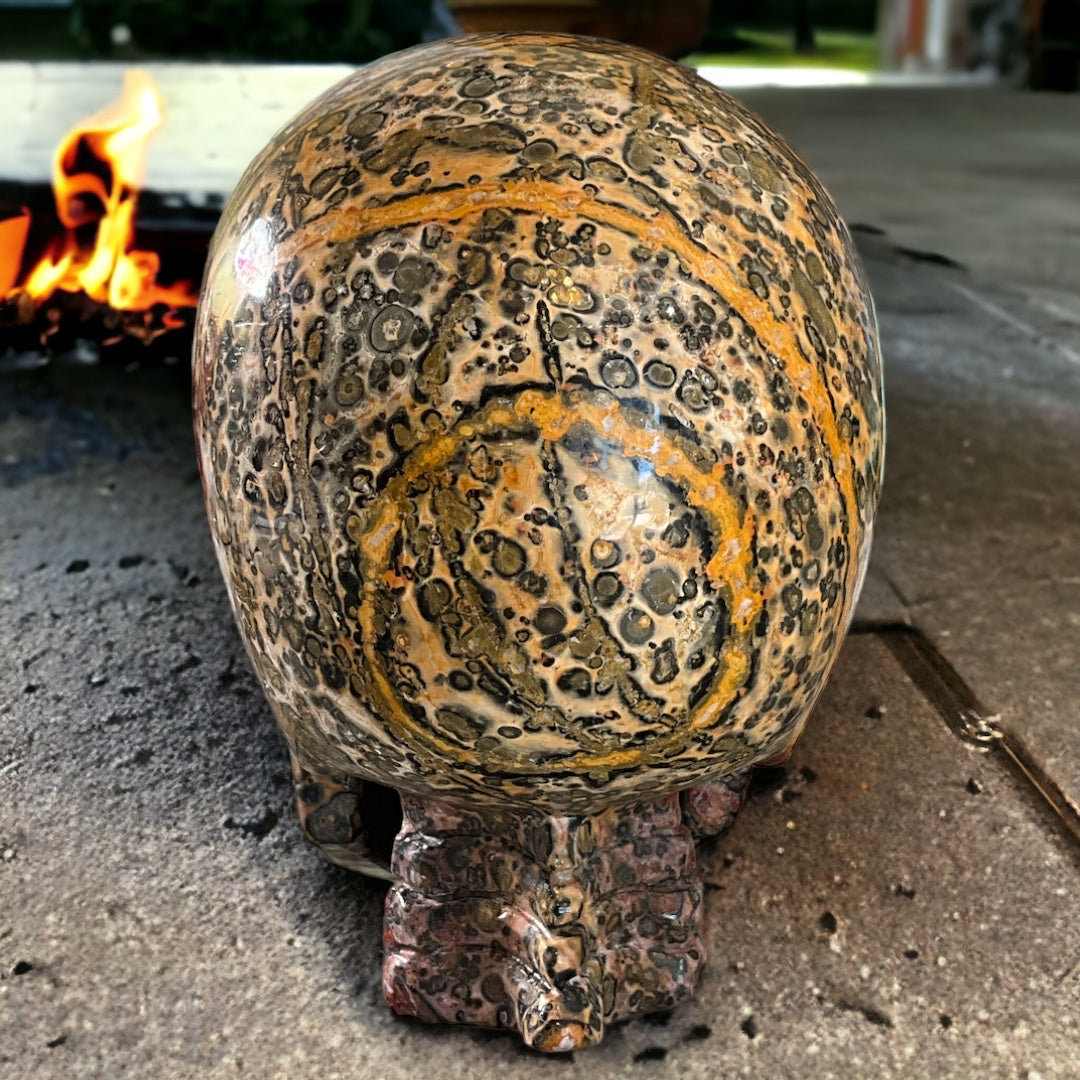 Leopard Jasper Skull Carving (Hypno-Skull) 5"