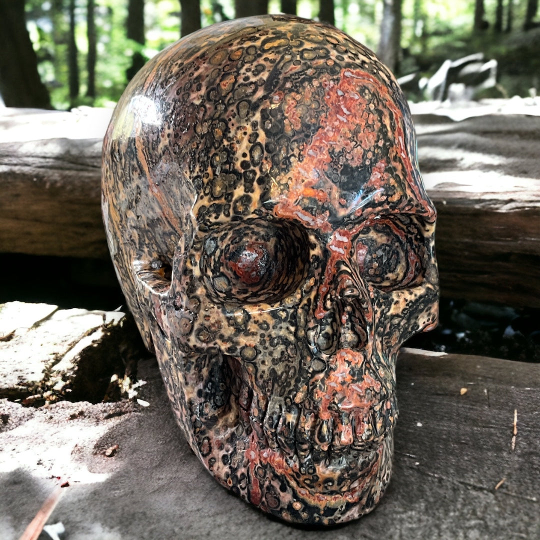 Leopard Jasper Skull Carving (Hypno-Skull) 5"