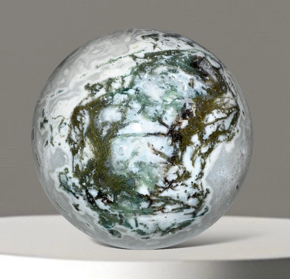 Tree Agate Geode Sphere with Wooden Stand