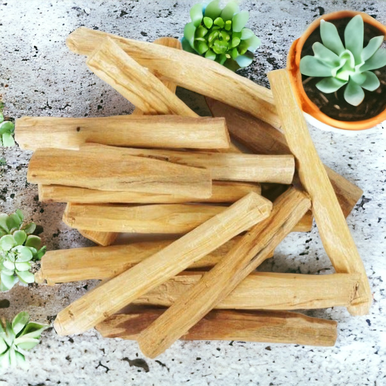 Palo Santo - Holy Wood Incense Sticks