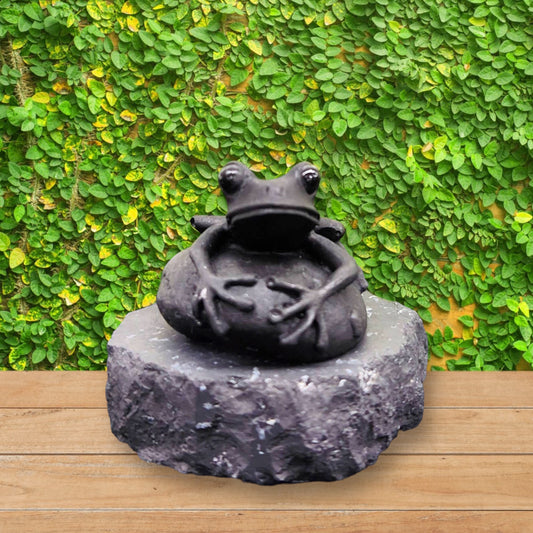 Shungite Figurine - Frog