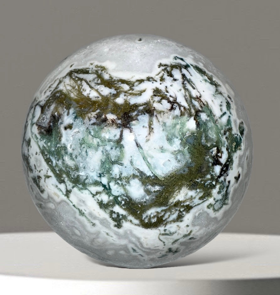 Tree Agate Geode Sphere with Wooden Stand