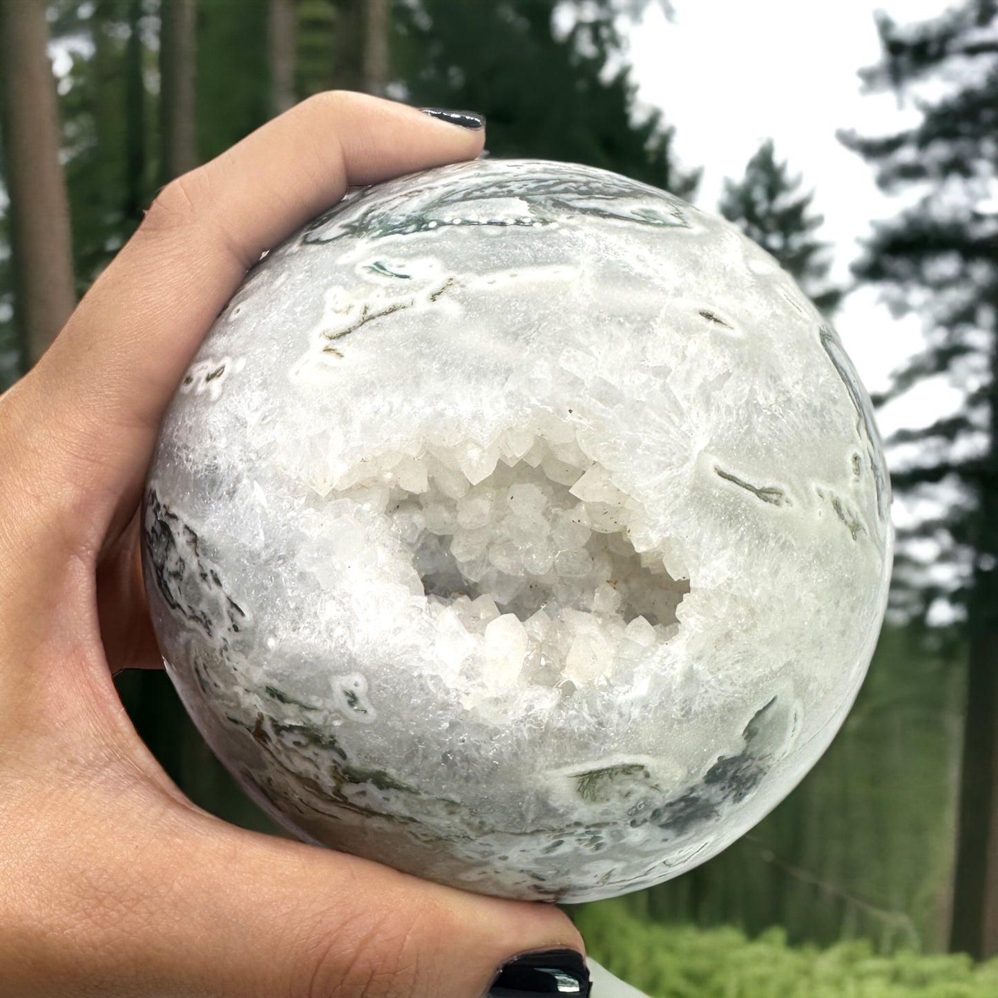 Tree Agate Geode Sphere with Wooden Stand